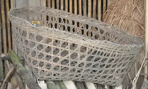 jvng( vzv́m taqnø lvngpvngram taq shvnam vbá pv̀n íe)